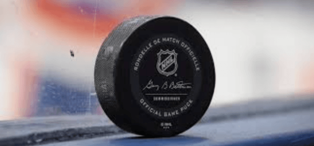 Hockey Puck